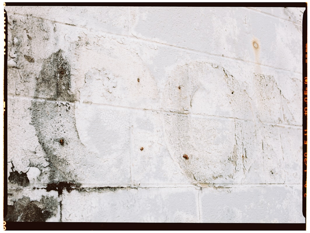 Water Extraction service in South Whittier, CA